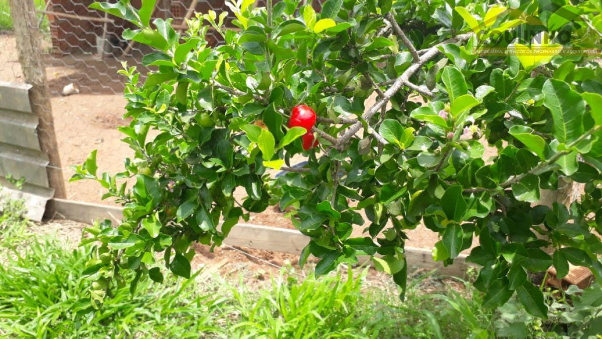 WhatsApp Image 2019-11-20 at 15.04.53.jpeg